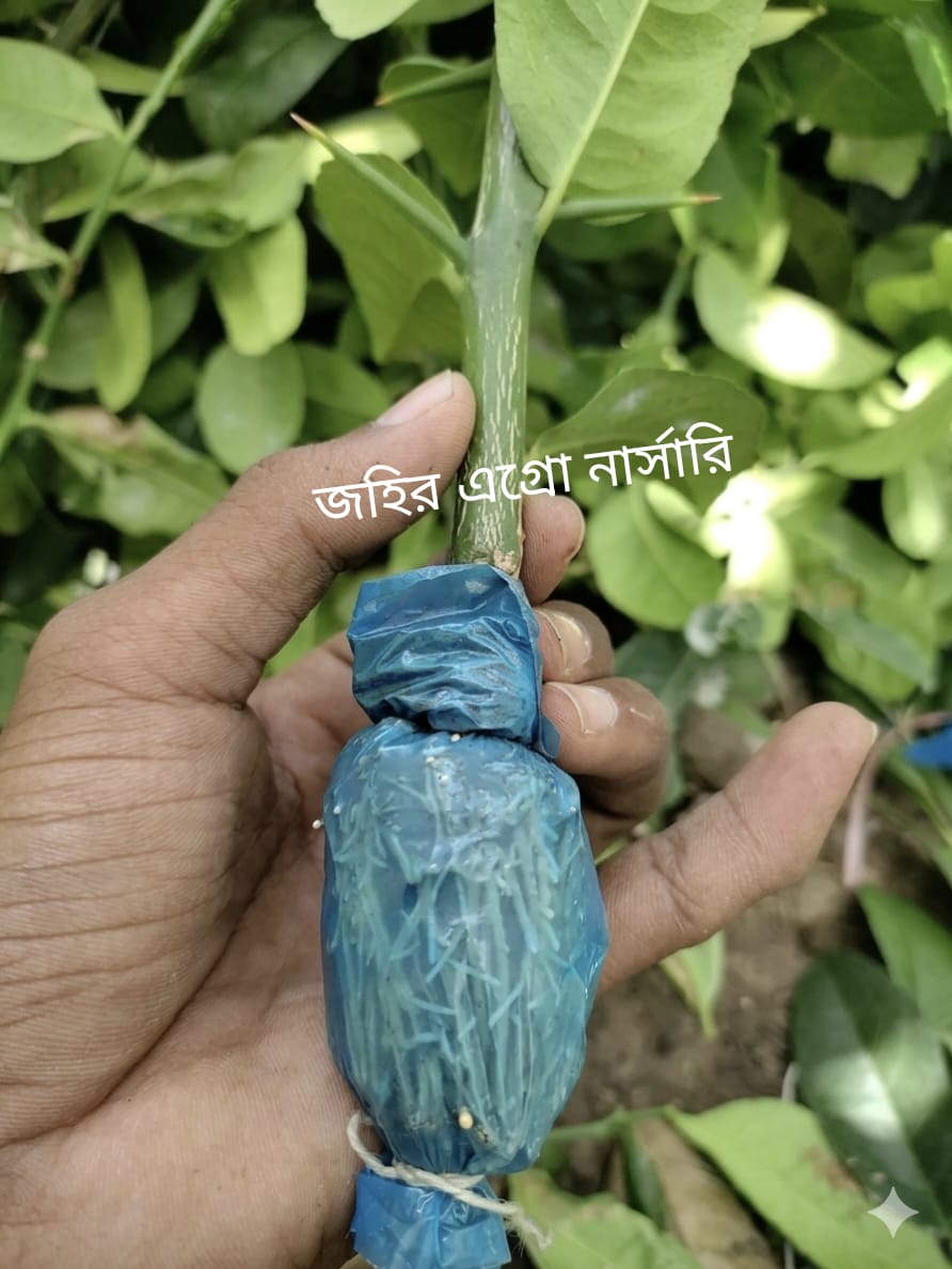 WhatsApp Image 2026-04-28 at 9.38.11 PM (1)