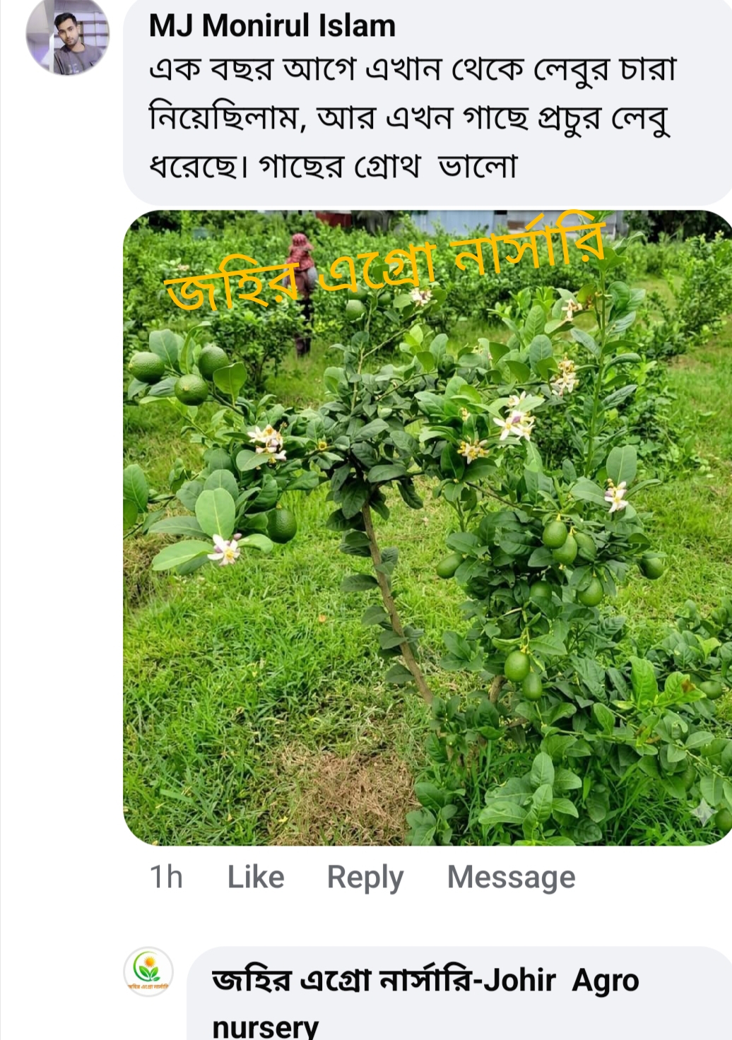 WhatsApp Image 2026-05-04 at 11.51.06 PM
