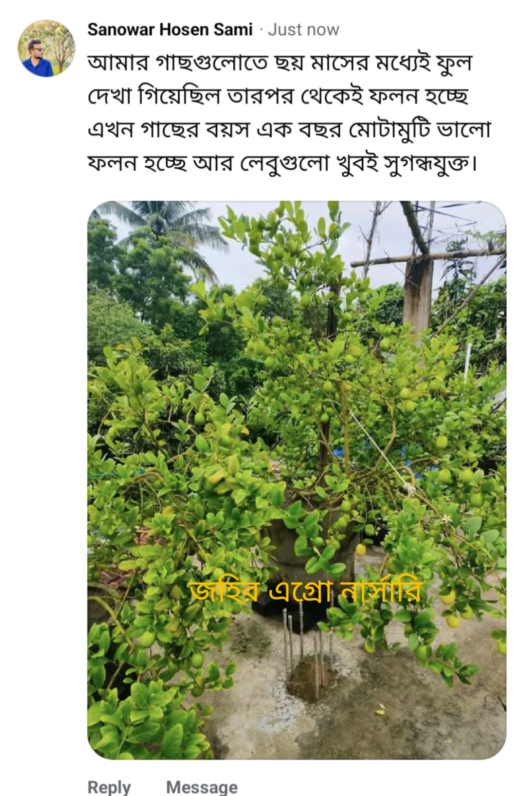 WhatsApp Image 2026-05-04 at 11.51.36 PM
