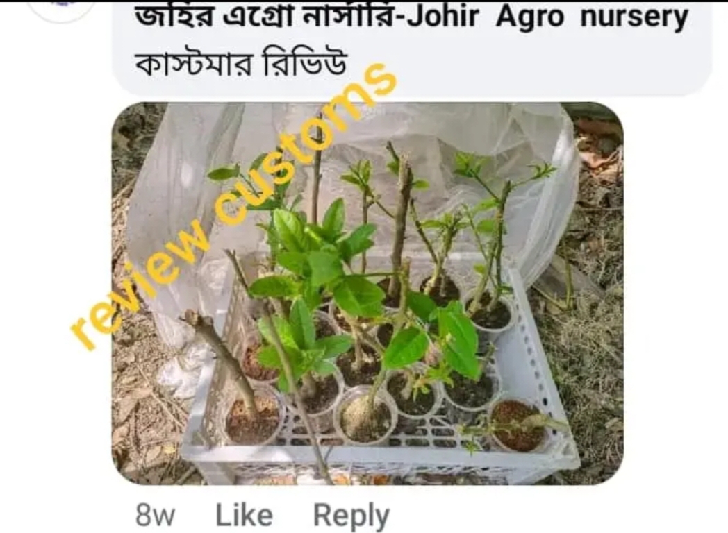 WhatsApp Image 2026-05-04 at 11.51.42 PM