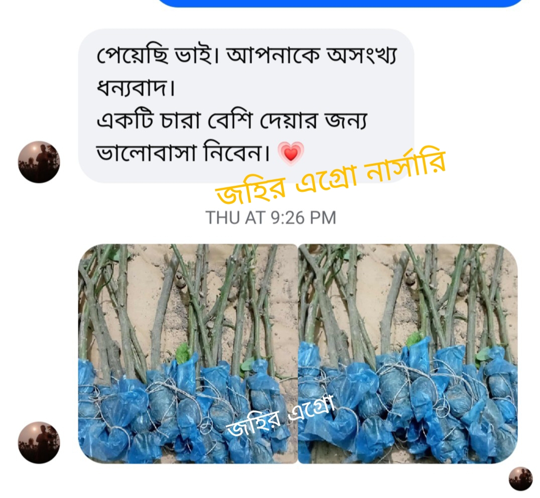WhatsApp Image 2026-05-04 at 11.52.03 PM