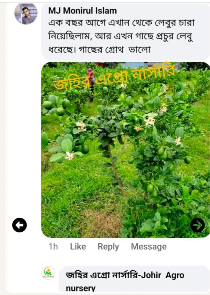 WhatsApp Image 2026-09-13 at 12.59.28 PM