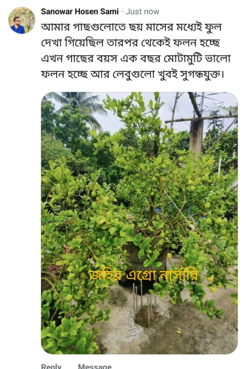 WhatsApp Image 2026-05-04 at 11.51.36 PM