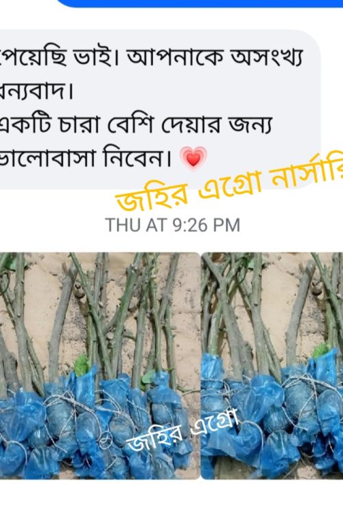 WhatsApp Image 2026-05-04 at 11.52.03 PM
