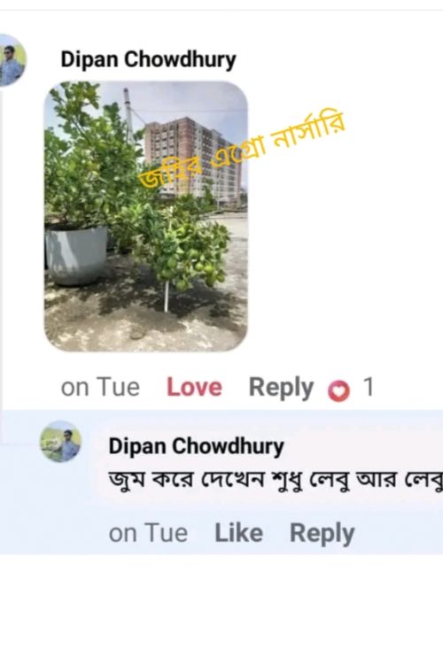 WhatsApp Image 2026-05-04 at 11.52.51 PM