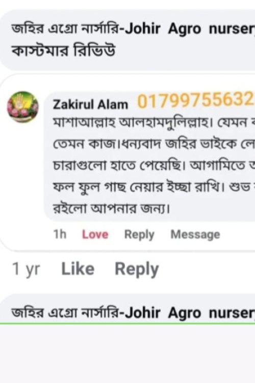 WhatsApp Image 2026-05-04 at 11.53.37 PM