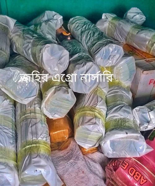 WhatsApp Image 2026-05-05 at 9.56.11 PM
